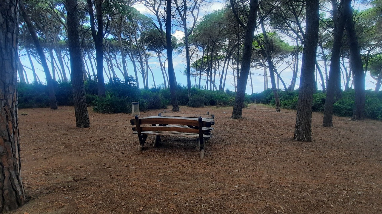 Photo of Outdoor in Mazzanta