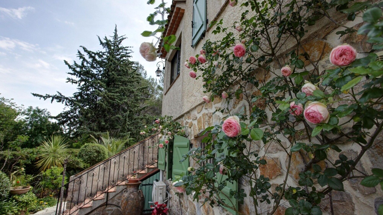 Photo of Outdoor in Roquefort-les-Pins