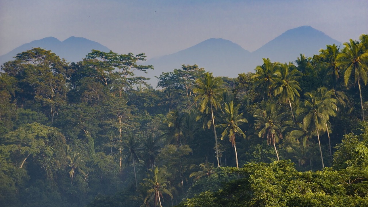 Photo of Outdoor in Samplangan