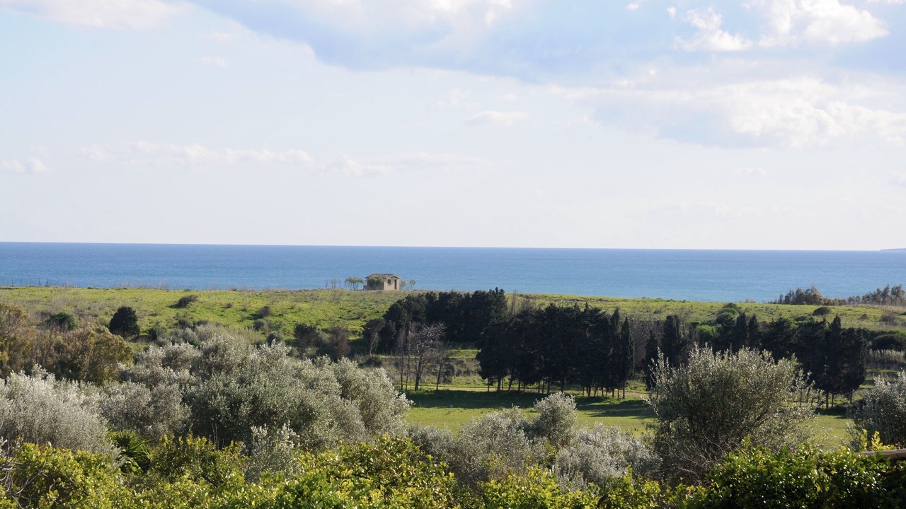 Photo of Outdoor in Noto