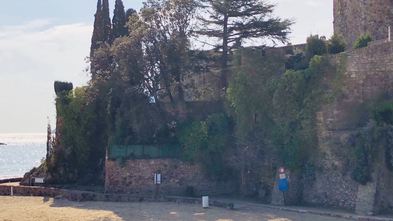 Photo of Others in Mandelieu-La-Napoule