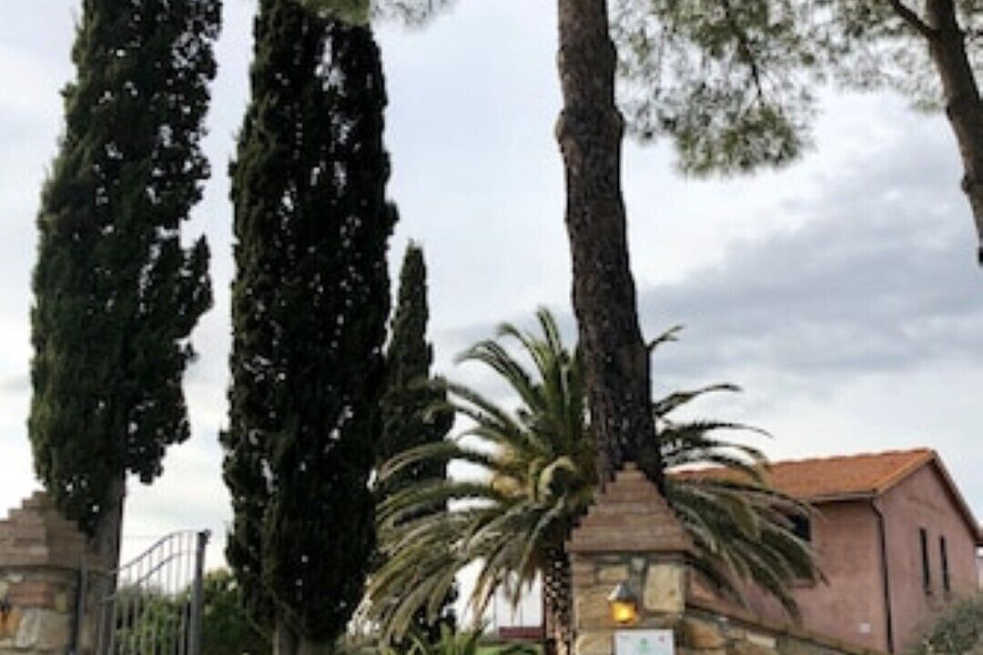 Photo of Outdoor in Bibbona