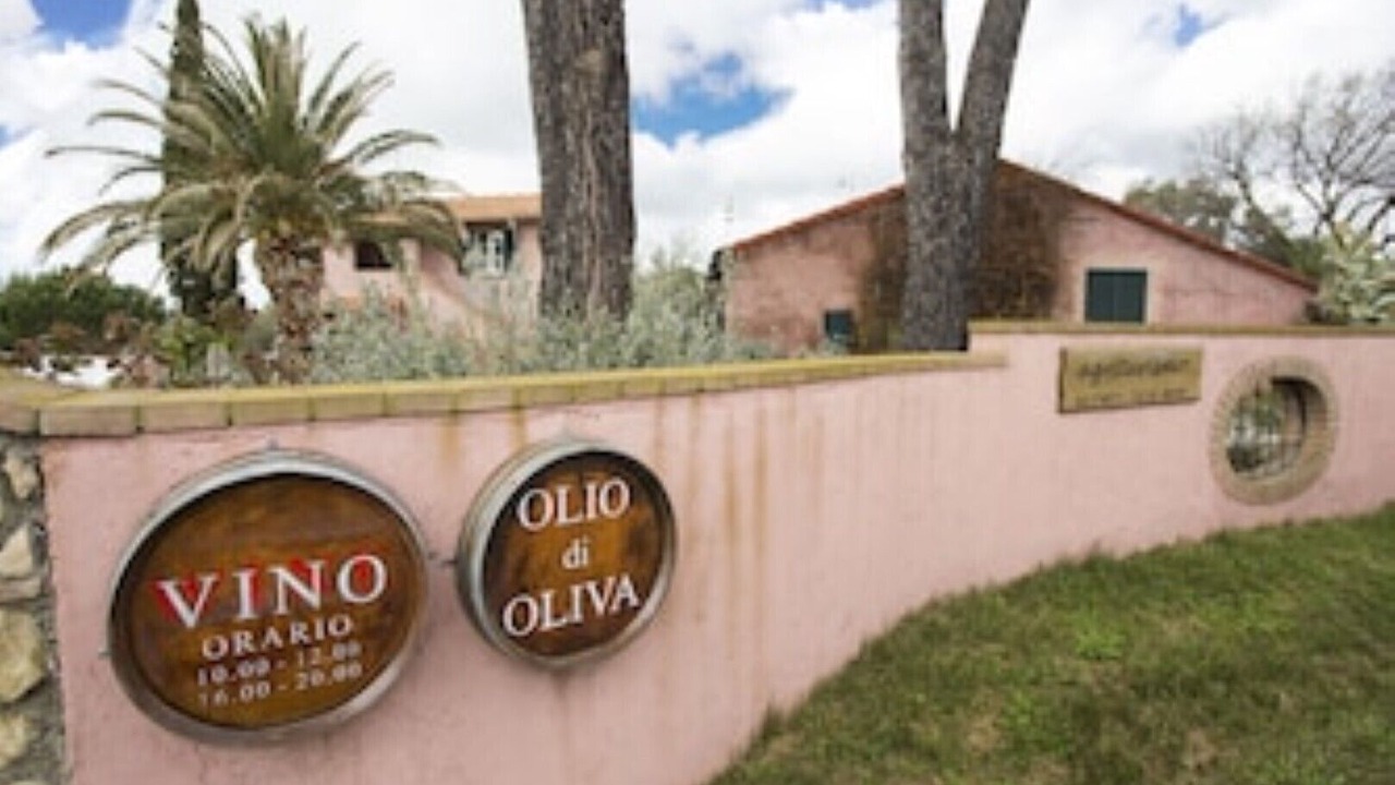 Photo of Outdoor in Bibbona