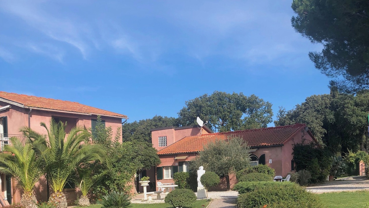 Photo of Outdoor in Bibbona