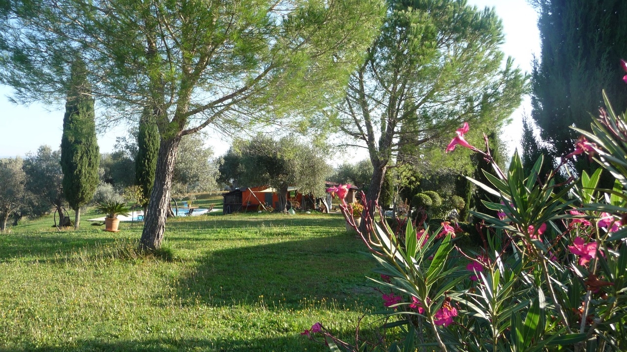 Photo of Outdoor in Caldana