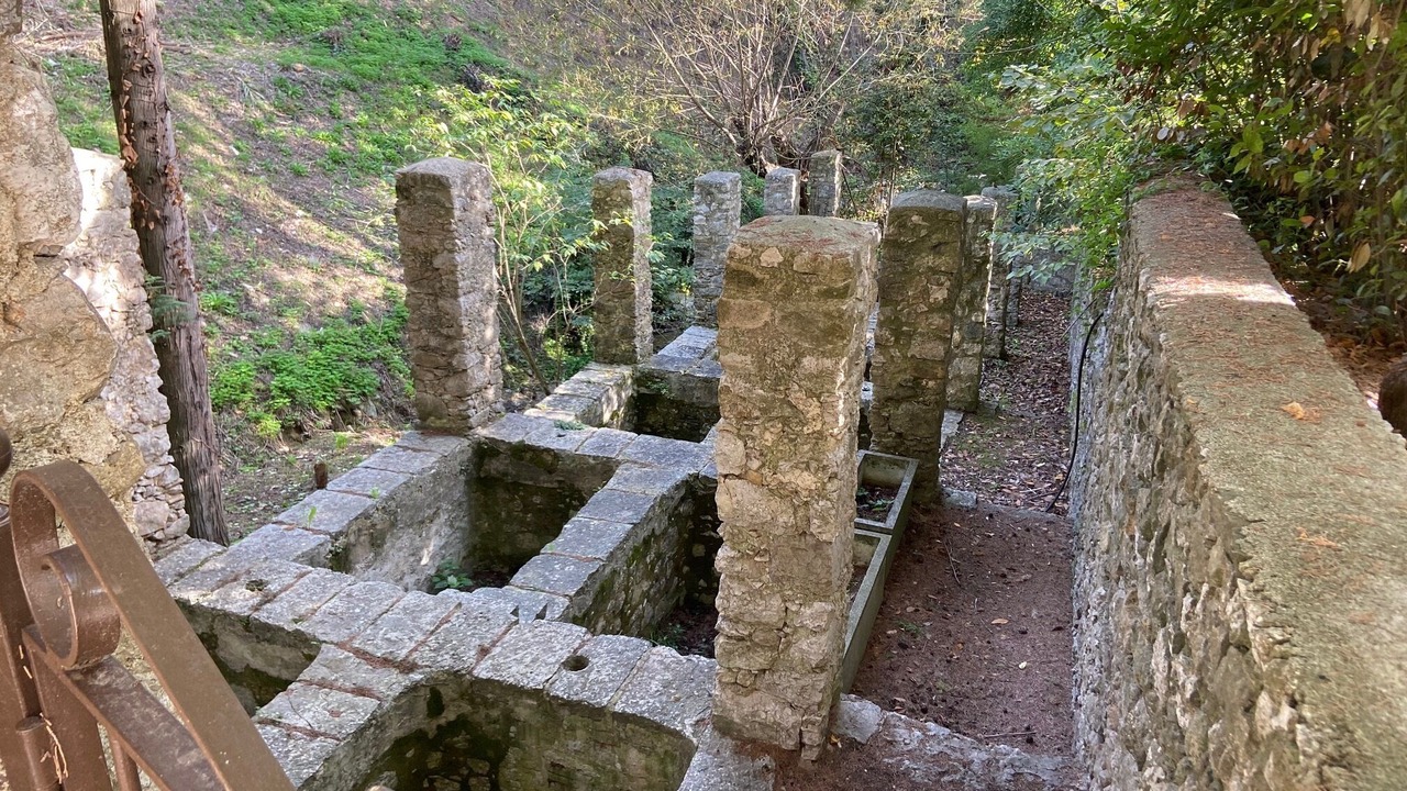 Photo of Outdoor in Vence