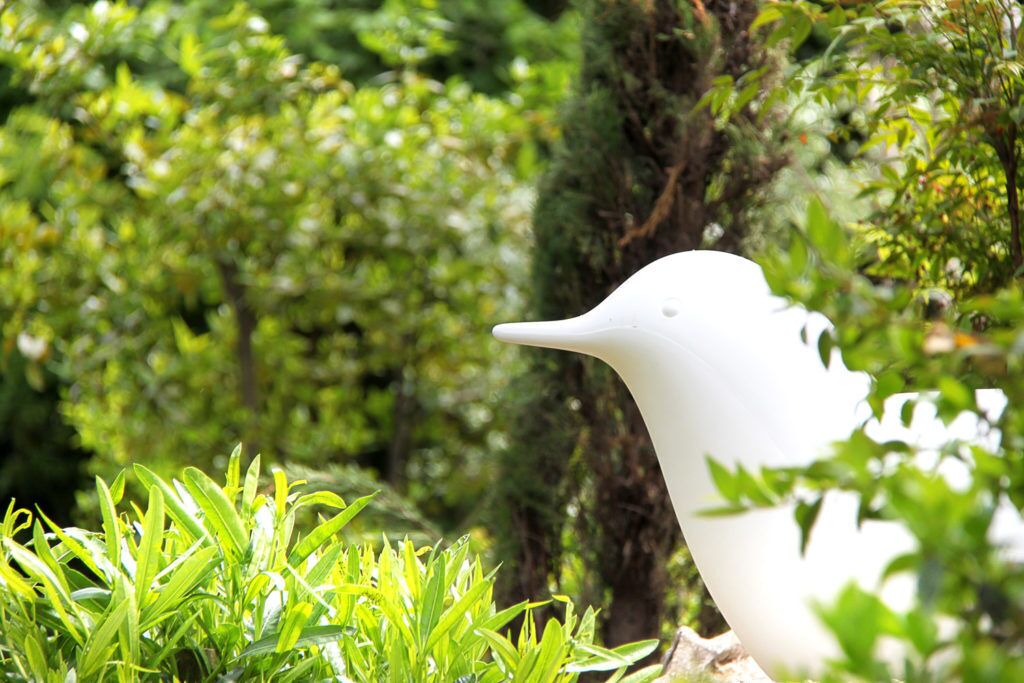 Photo of Outdoor in Vence