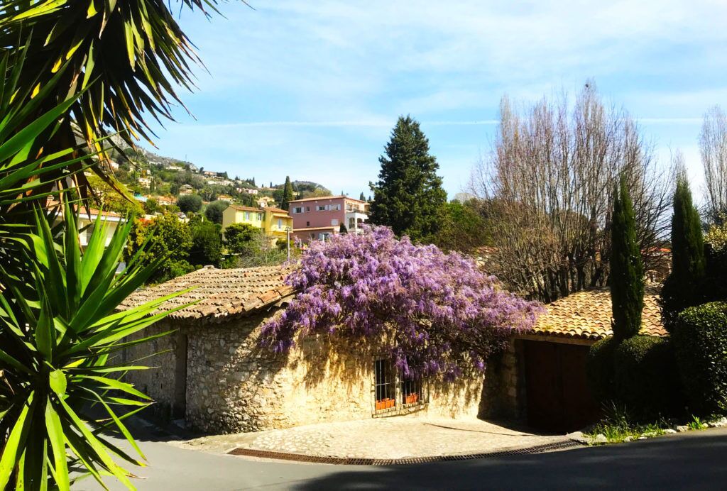Photo of Outdoor in Vence