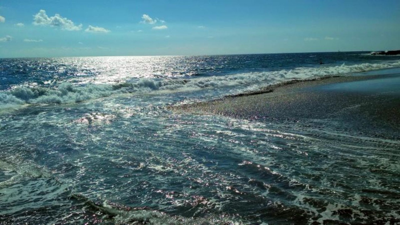 Photo of Others in Viareggio
