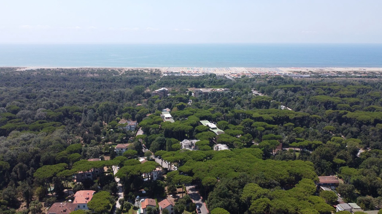 Photo of Outdoor in Viareggio