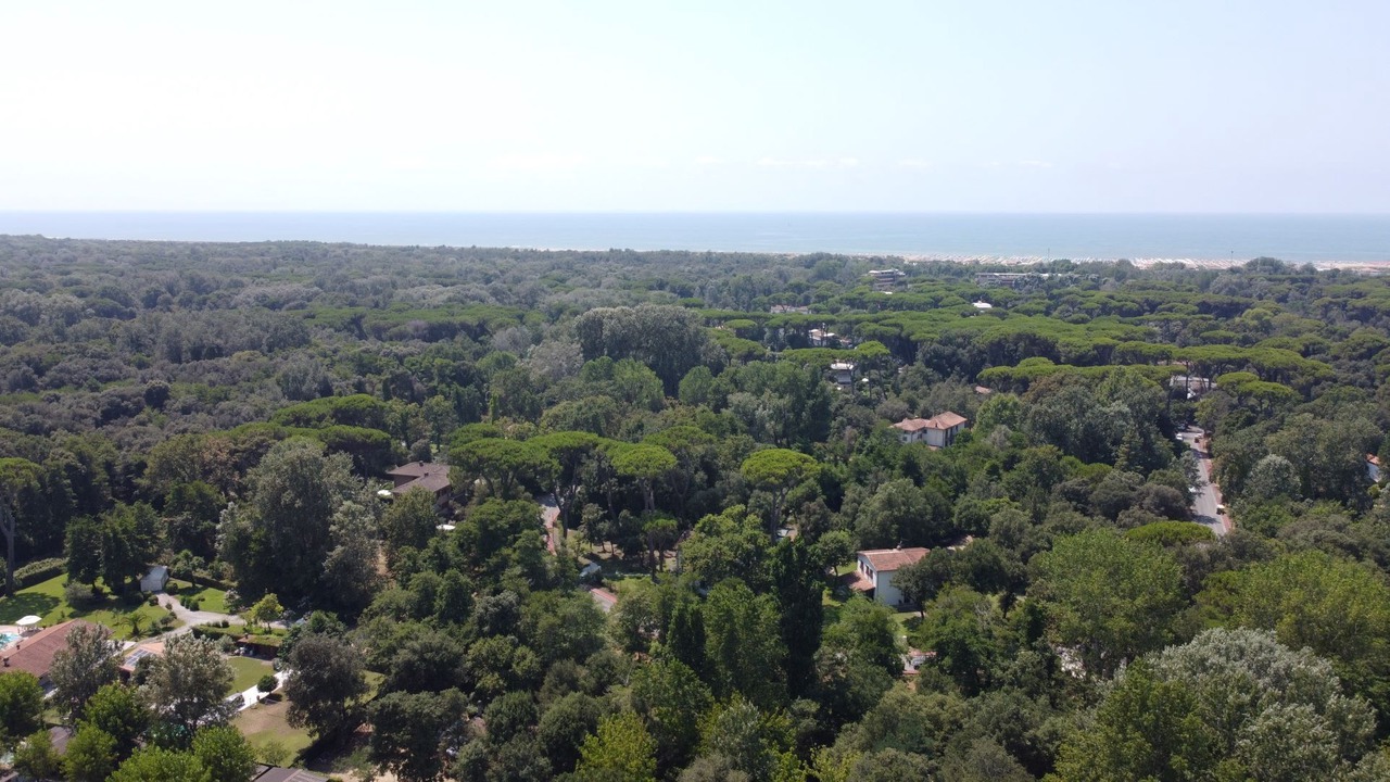 Photo of Outdoor in Viareggio