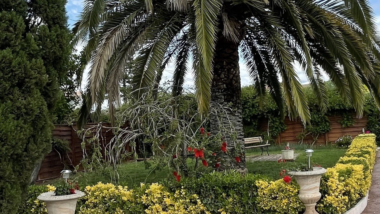 Photo of Outdoor in Le Muy