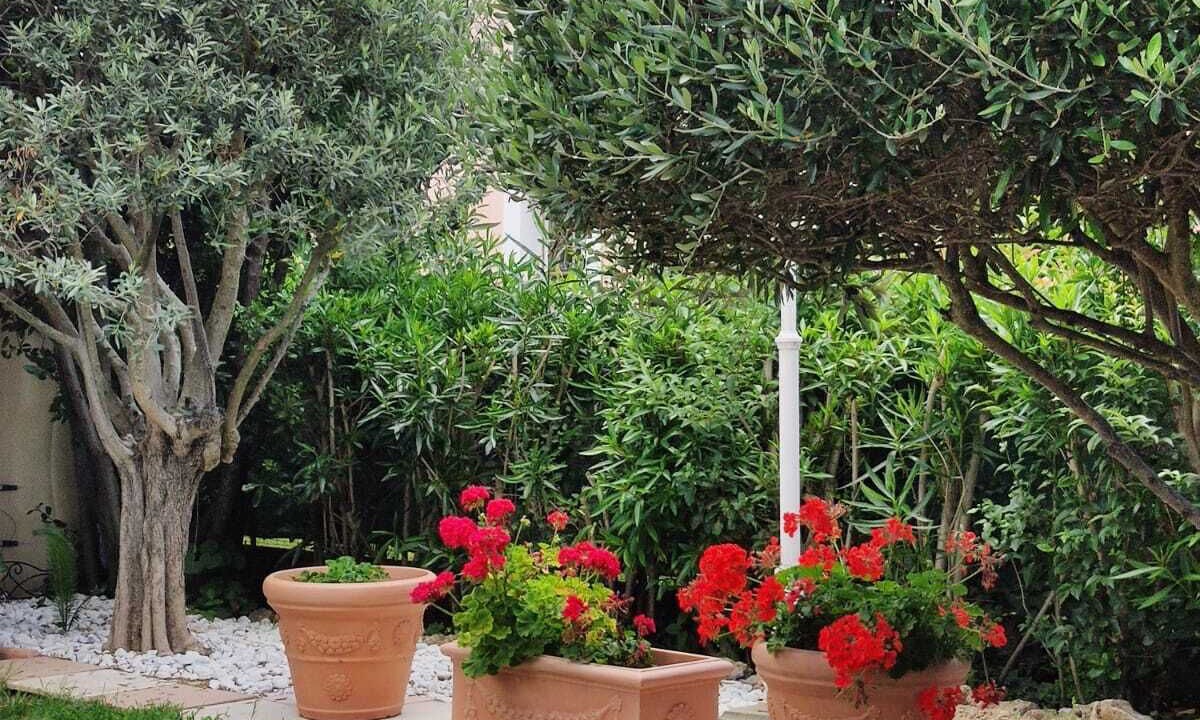 Photo of Outdoor in Le Muy