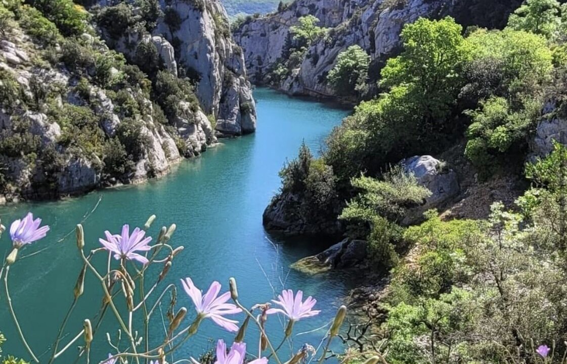 Photo of Outdoor in Le Muy