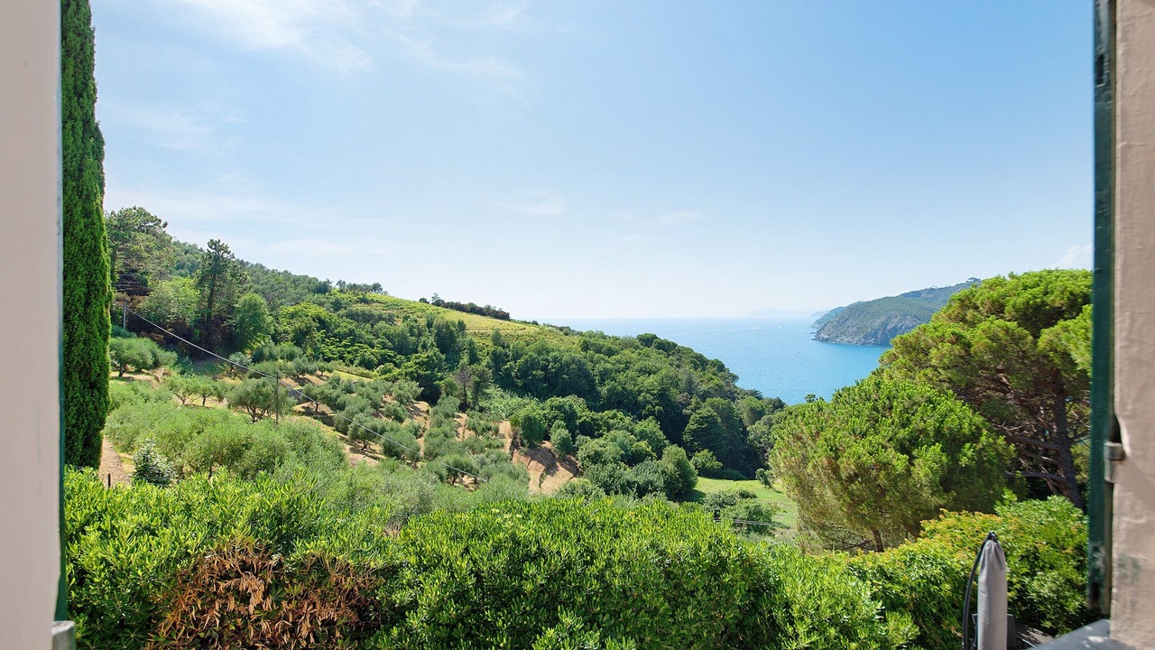 Photo of Others in Levanto