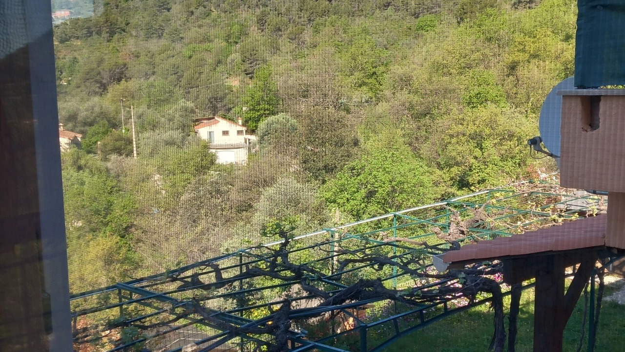 Photo of Others in Saint-Blaise
