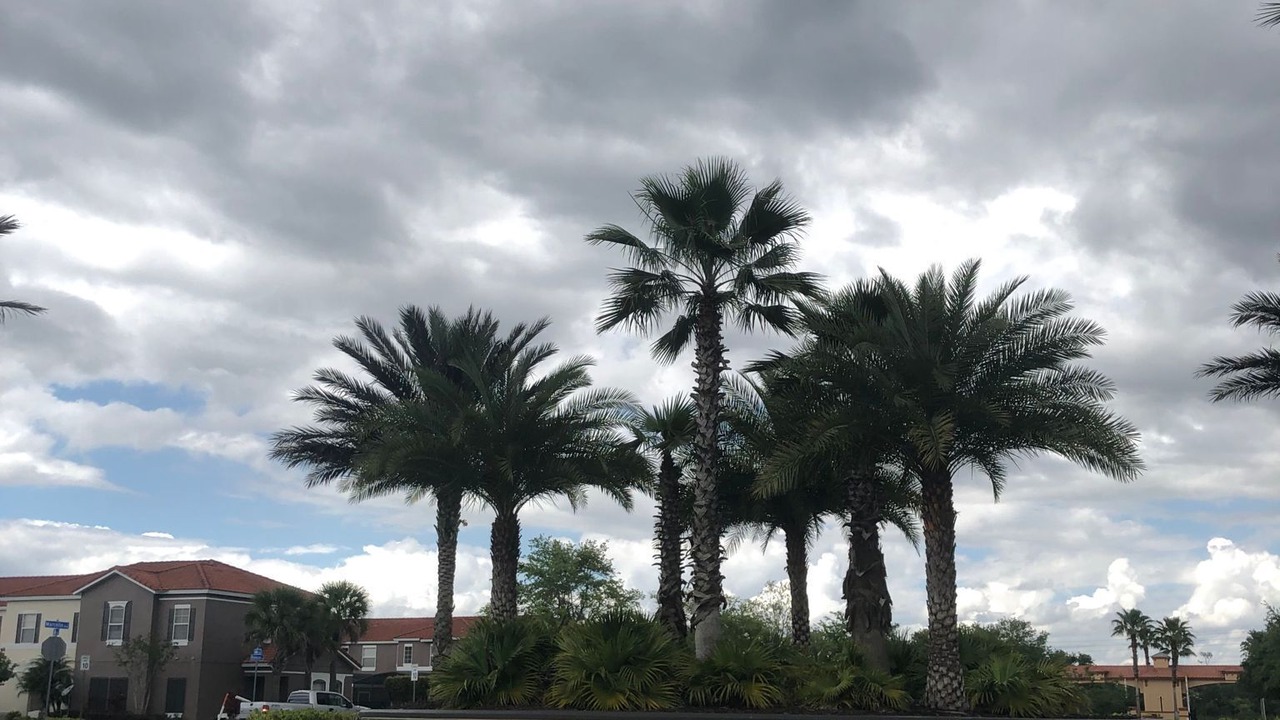 Photo of Outdoor in Bellavida
