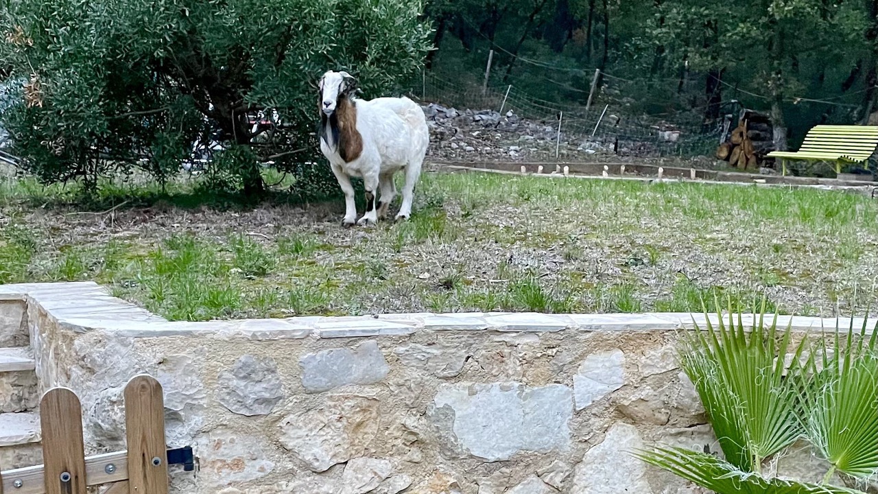 Photo of Outdoor in Le Collet