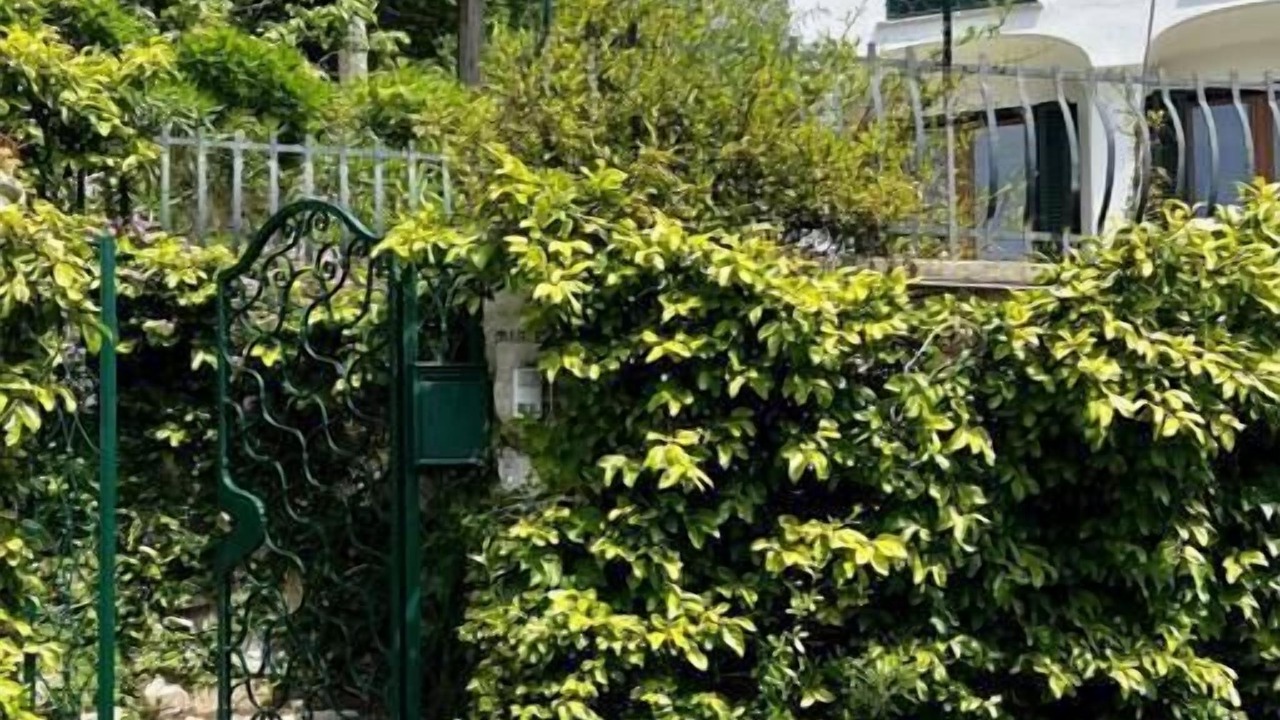 Photo of Outdoor in Sestri Levante