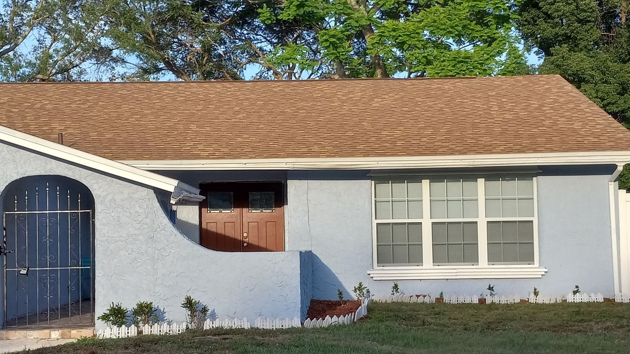 Photo of Outdoor in Pine Hills
