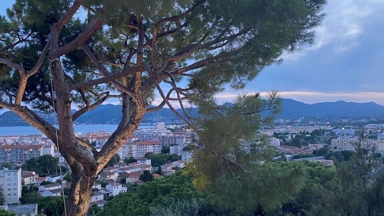 Photo of Others in Cannes La Bocca