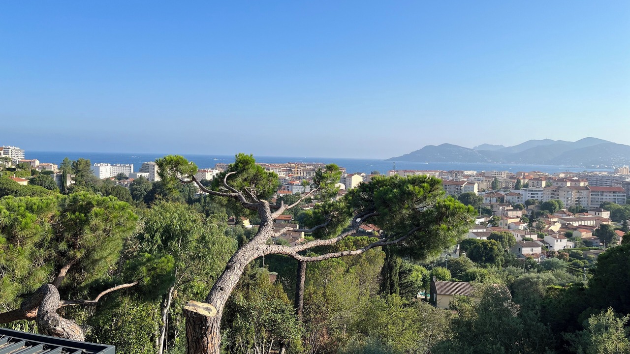 Photo of Others in Cannes La Bocca