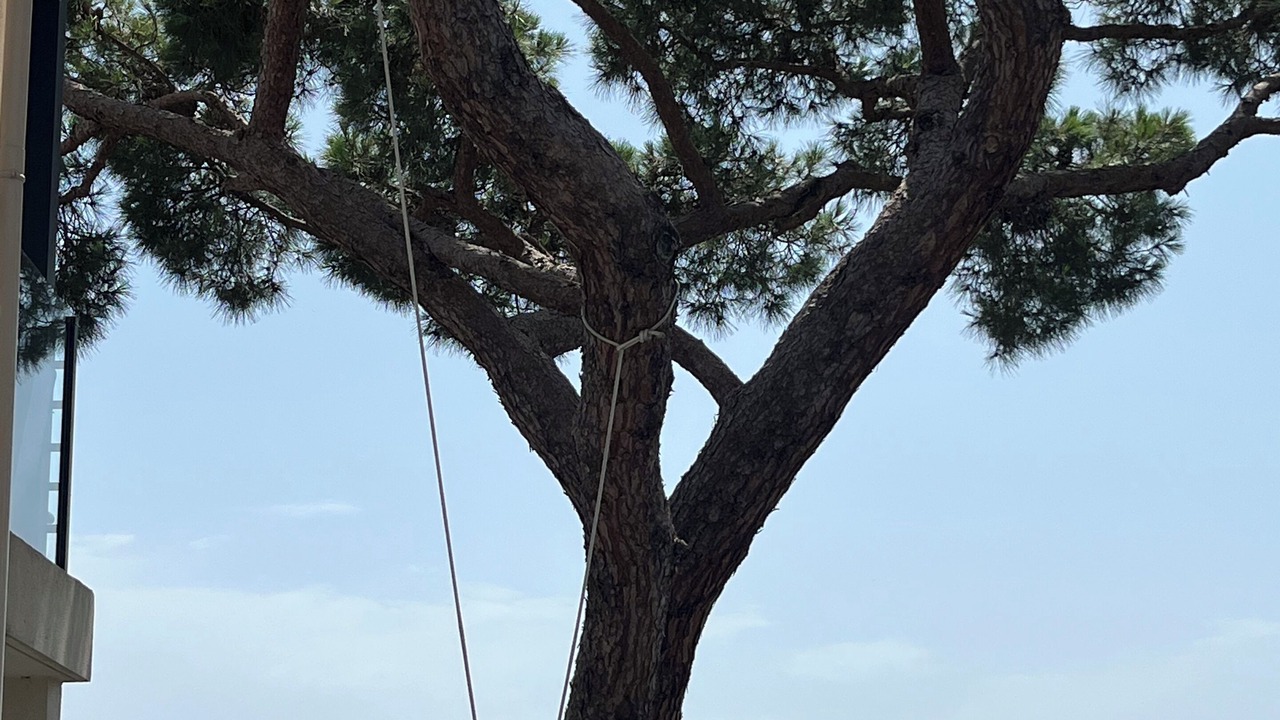 Photo of Others in Cannes La Bocca
