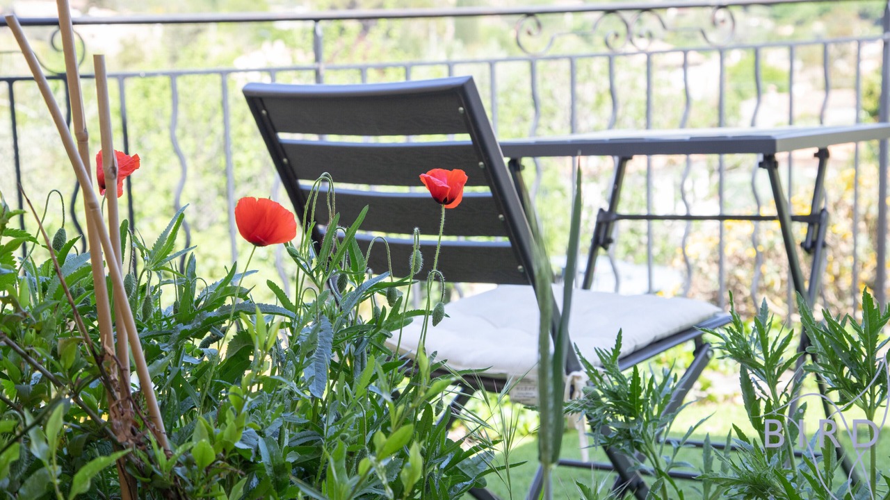 Photo of Outdoor in Le Rouret