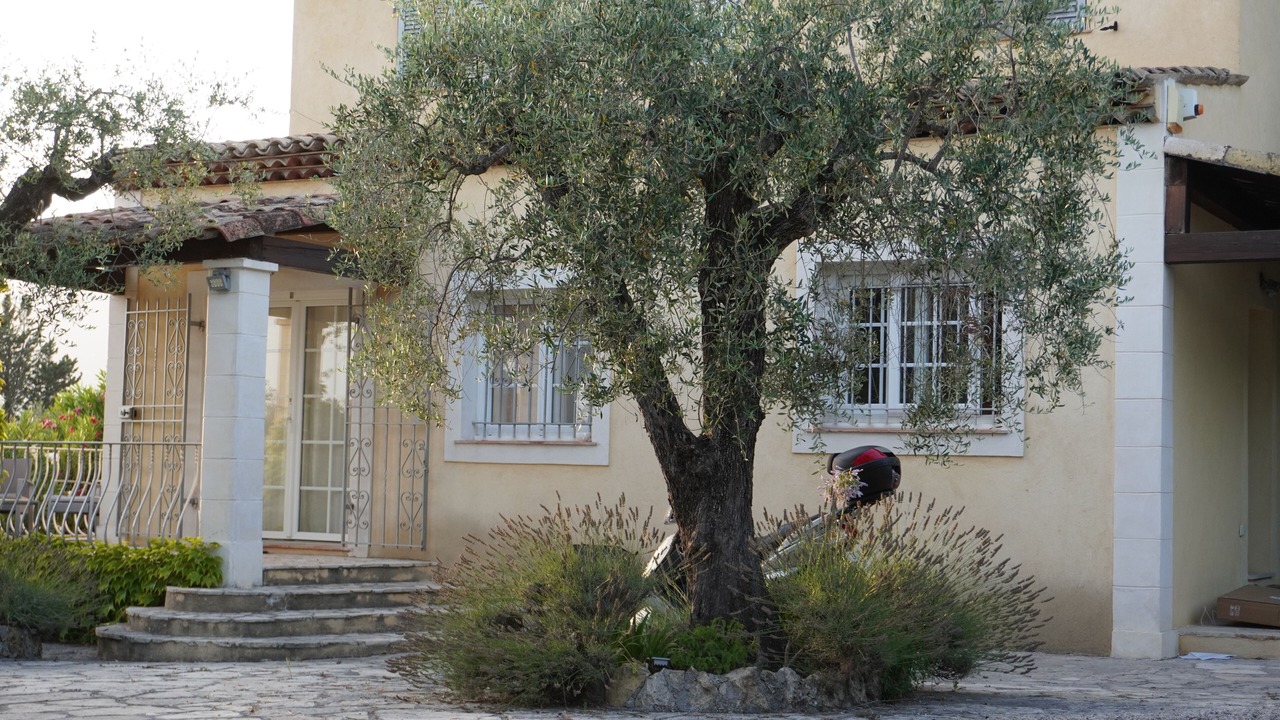 Photo of Outdoor in Mouans-Sartoux