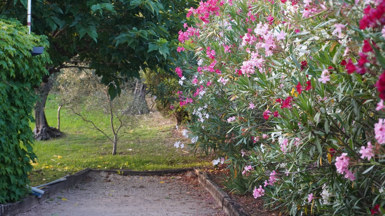 Photo of Outdoor in Mouans-Sartoux