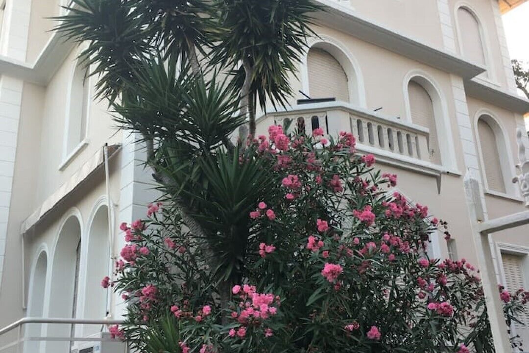 Photo of Outdoor in Pointe Croisette