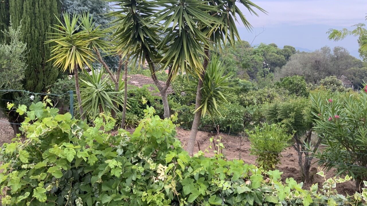 Photo of Outdoor in Vallauris