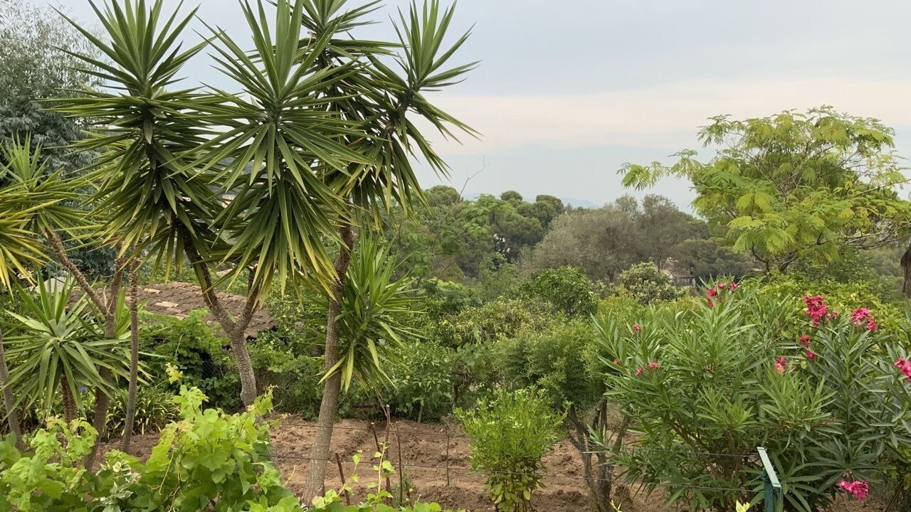 Photo of Outdoor in Vallauris