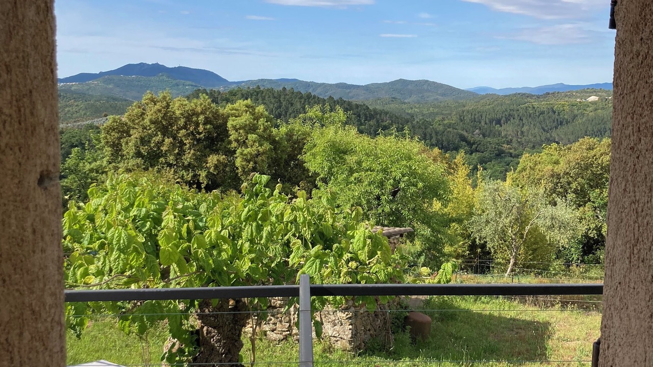Photo of Outdoor in Tanneron