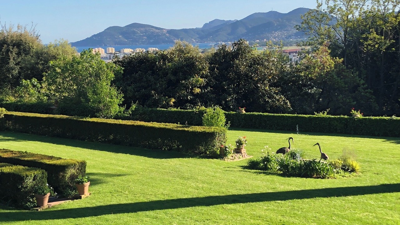 Photo of Outdoor in Cannes