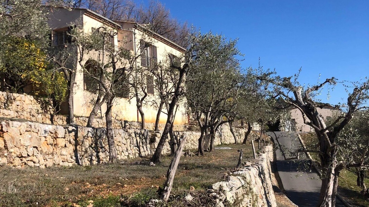 Photo of Outdoor in Speracedes