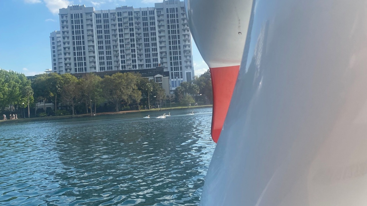 Photo of Outdoor in Lake Eola Heights