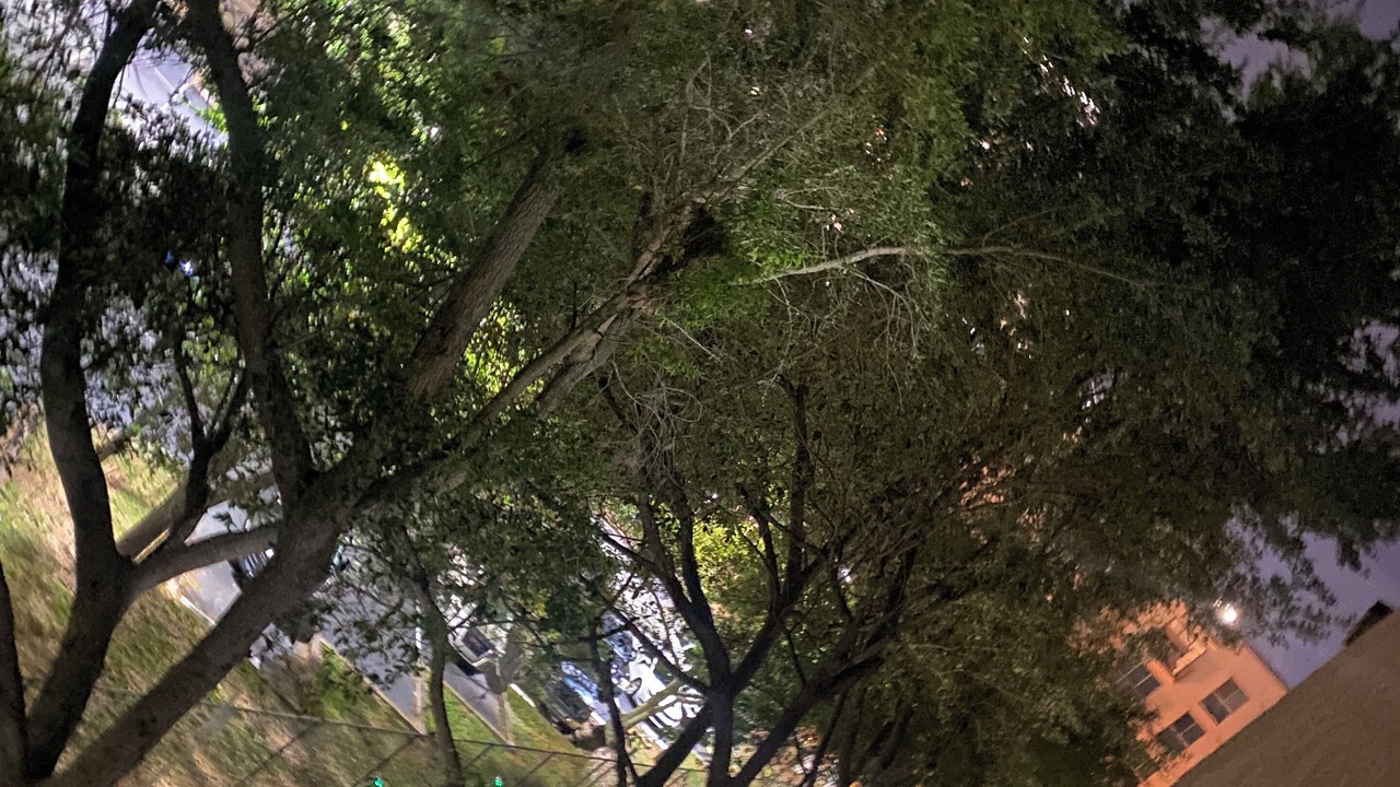 Photo of Outdoor in Lake Eola Heights