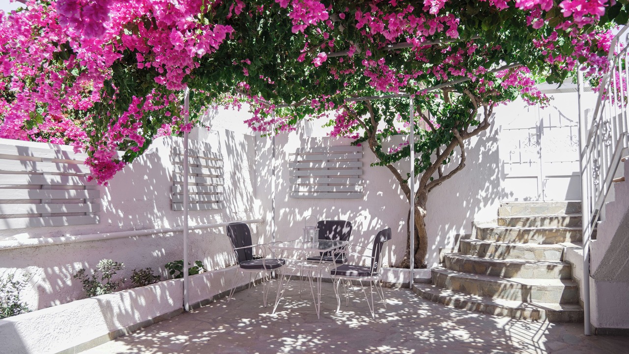 Photo of Outdoor in Santorini