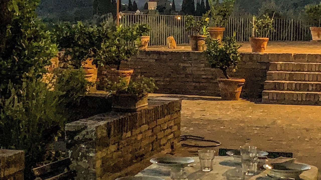 Photo of Outdoor in Castelnuovo Berardenga