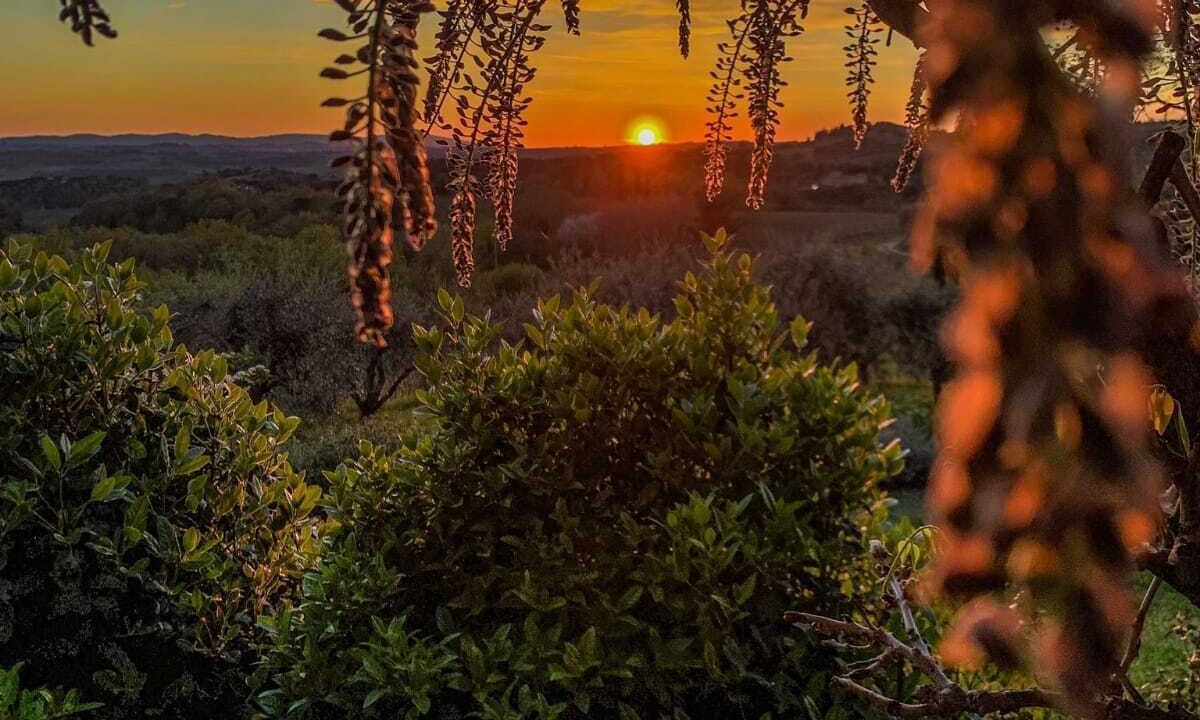 Photo of Outdoor in Castelnuovo Berardenga