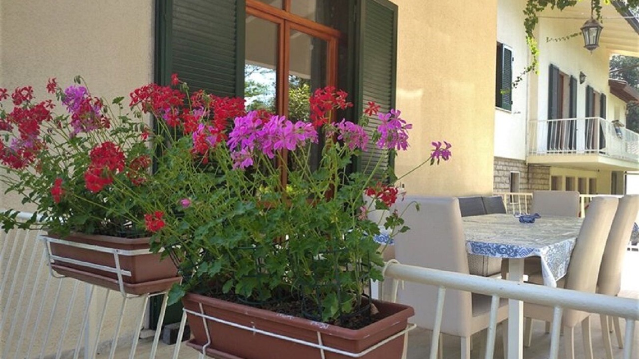 Photo of Outdoor in Ronchi