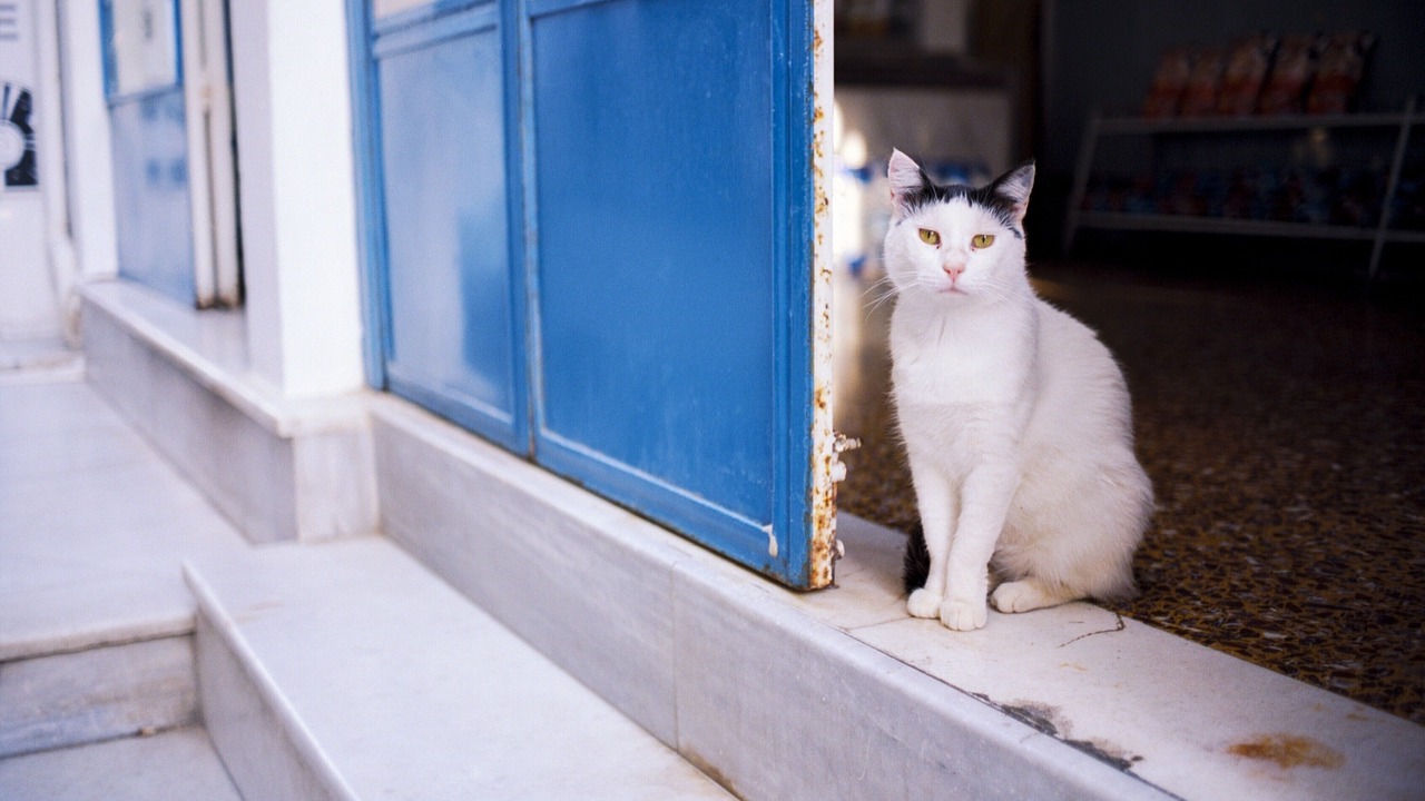Photo of Others in Perissa
