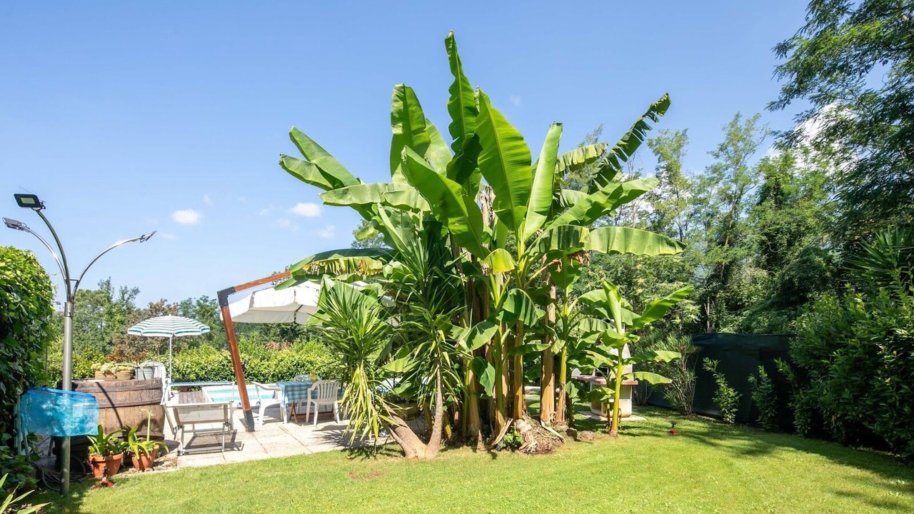 Photo of Outdoor in Camaiore