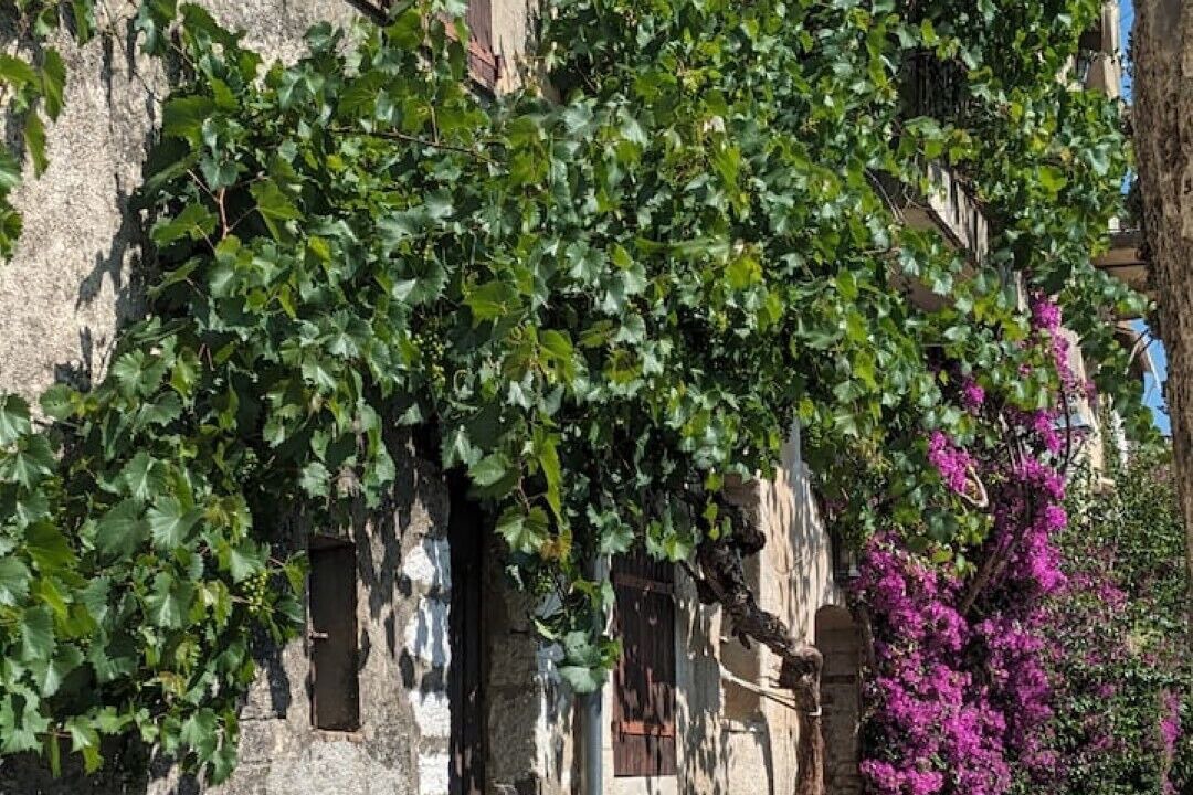 Photo of Outdoor in La Colle-sur-Loup