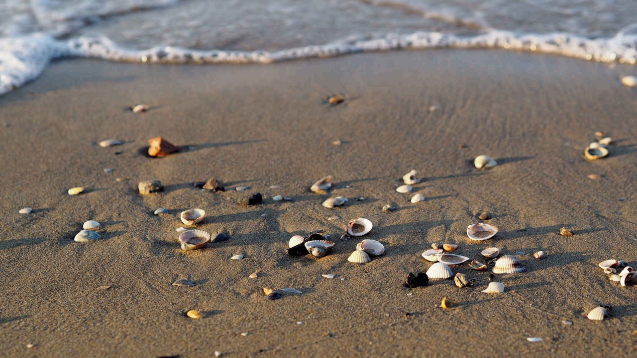 Photo of Others in Bibione Pineda
