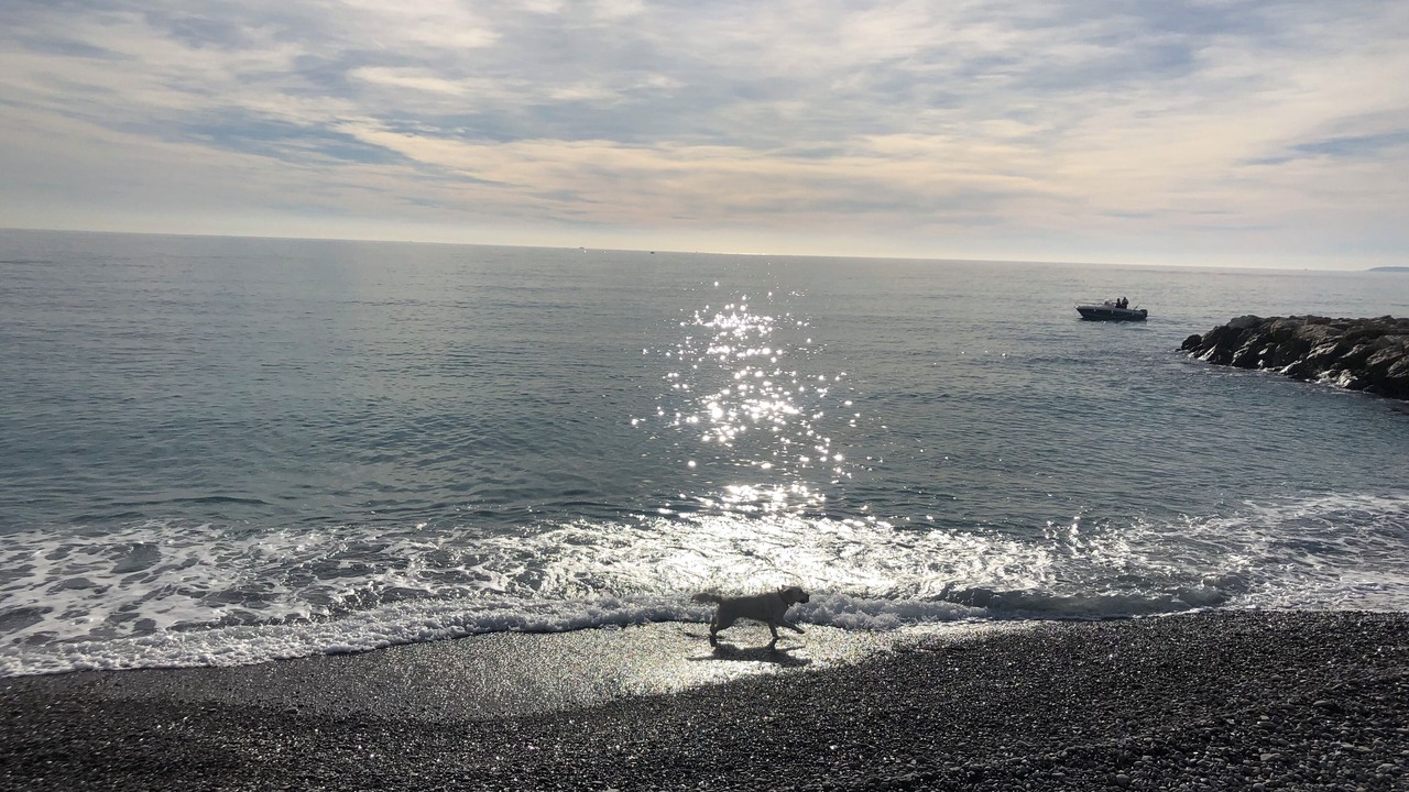 Photo of Others in Cros-de-Cagnes