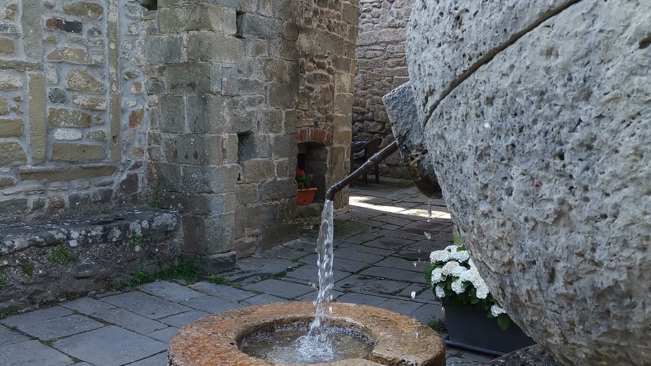 Photo of Outdoor in Arlia