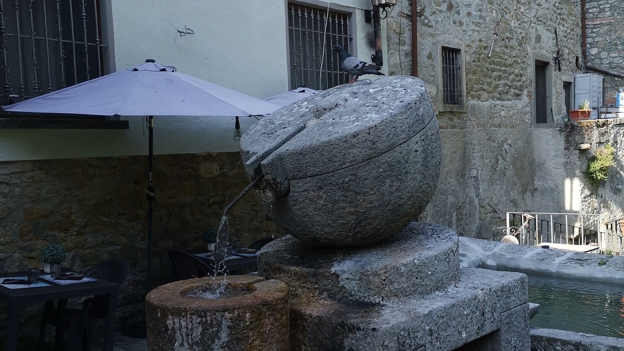 Photo of Outdoor in Arlia