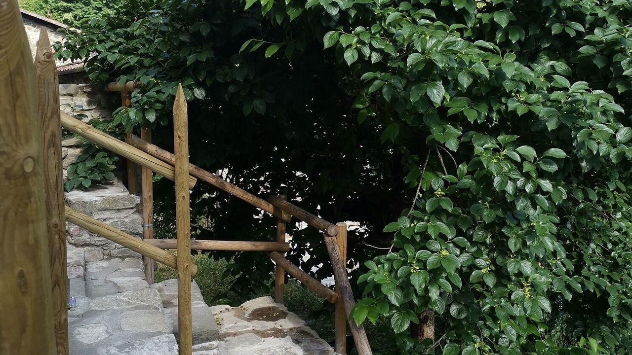 Photo of Outdoor in Arlia